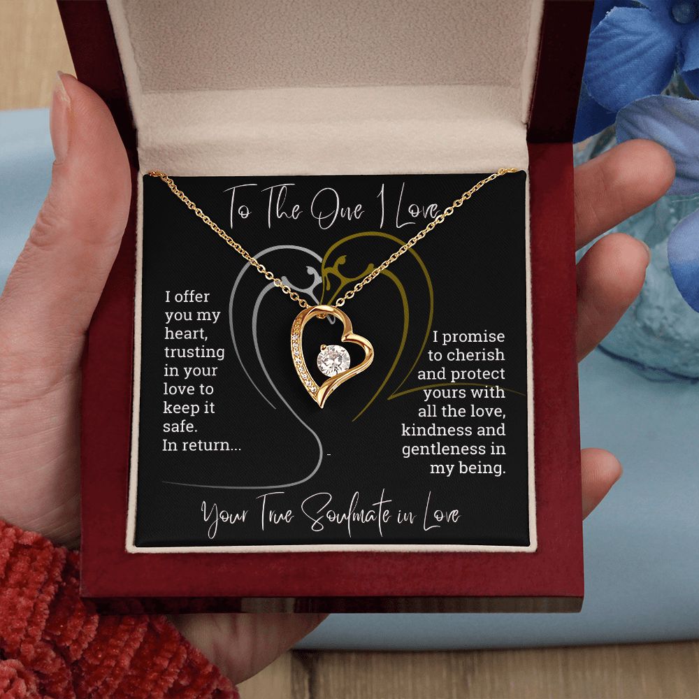 To The One I Love I Offer You My Heart Forever Love Necklace