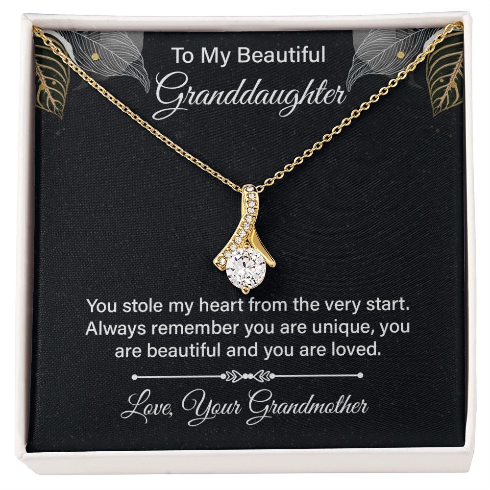 To My Beautiful Granddaughter You Stole My Heart Alluring Beauty Necklace