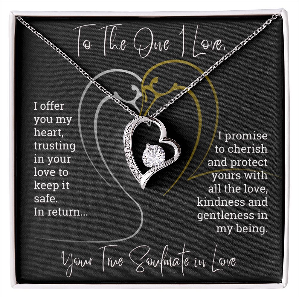 To The One I Love I Offer You My Heart Forever Love Necklace