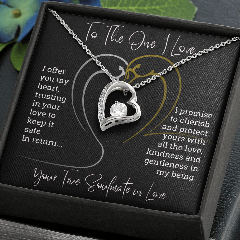To The One I Love I Offer You My Heart Forever Love Necklace