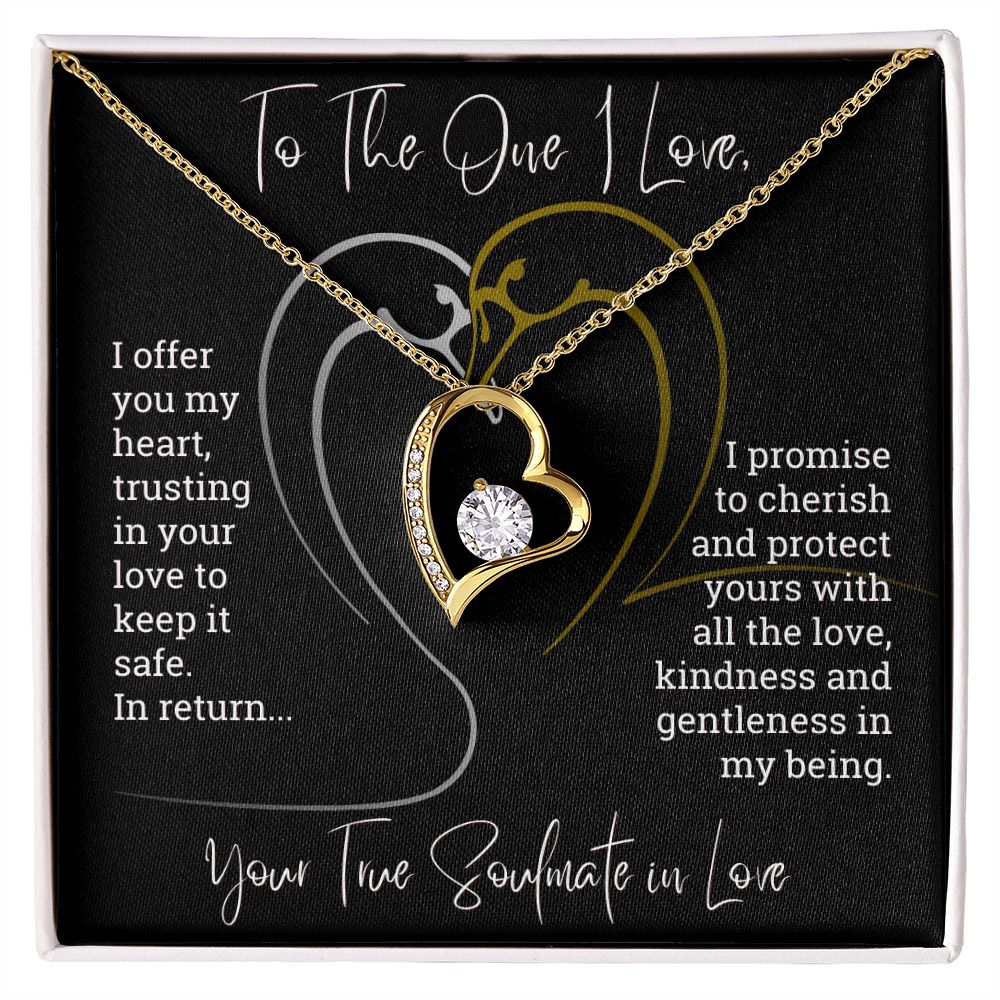 To The One I Love I Offer You My Heart Forever Love Necklace