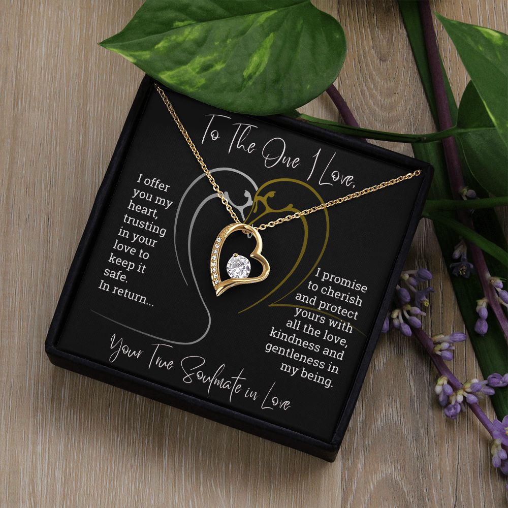 To The One I Love I Offer You My Heart Forever Love Necklace