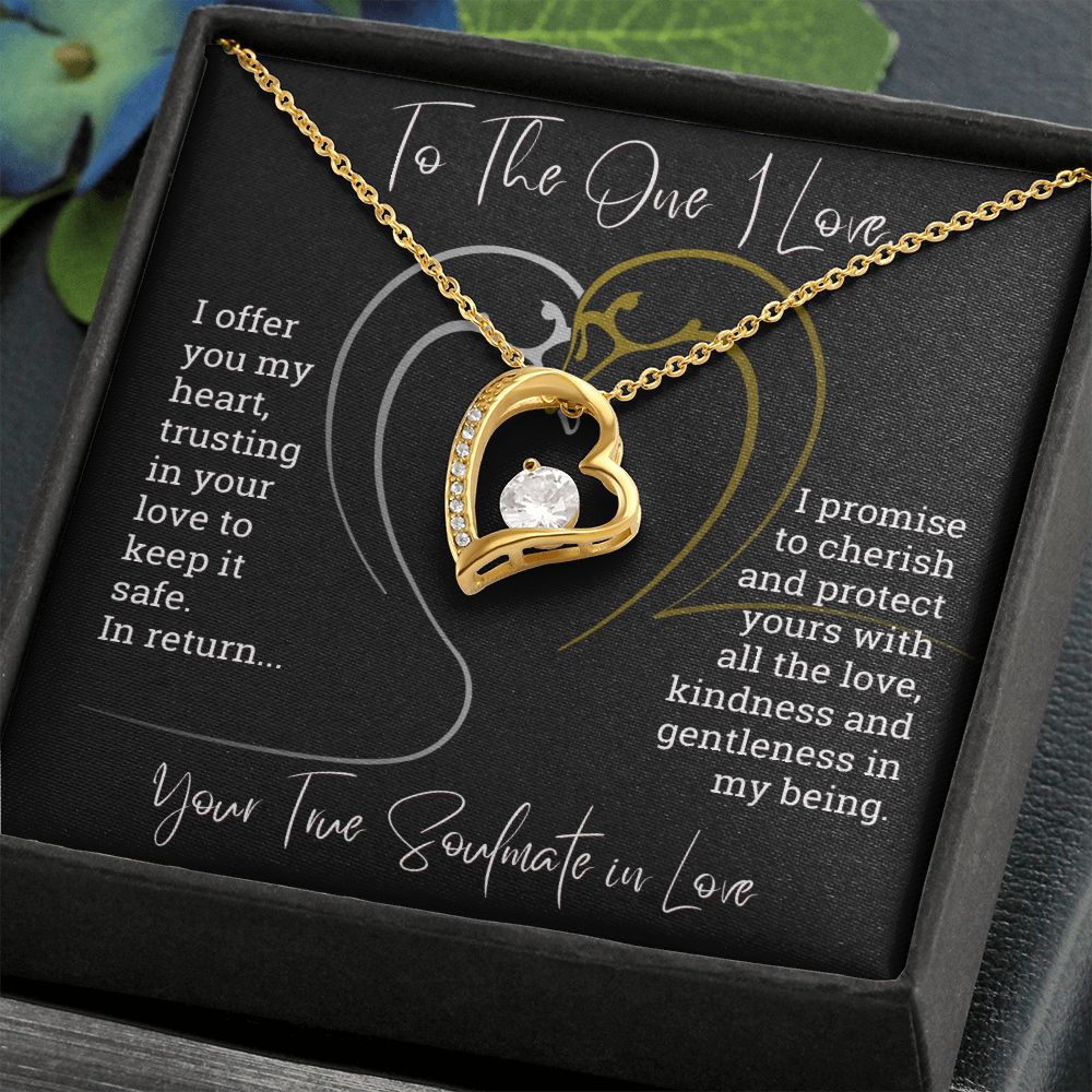 To The One I Love I Offer You My Heart Forever Love Necklace